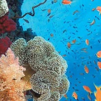 Není k dispozici žádný popis fotky.