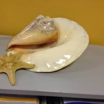 Není k dispozici žádný popis fotky.