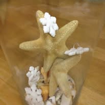 Není k dispozici žádný popis fotky.