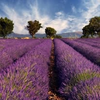 Není k dispozici žádný popis fotky.