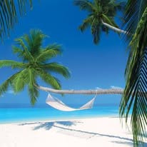 Není k dispozici žádný popis fotky.