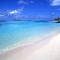 Není k dispozici žádný popis fotky.